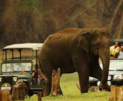 Honeymoon Tour To Chettinad